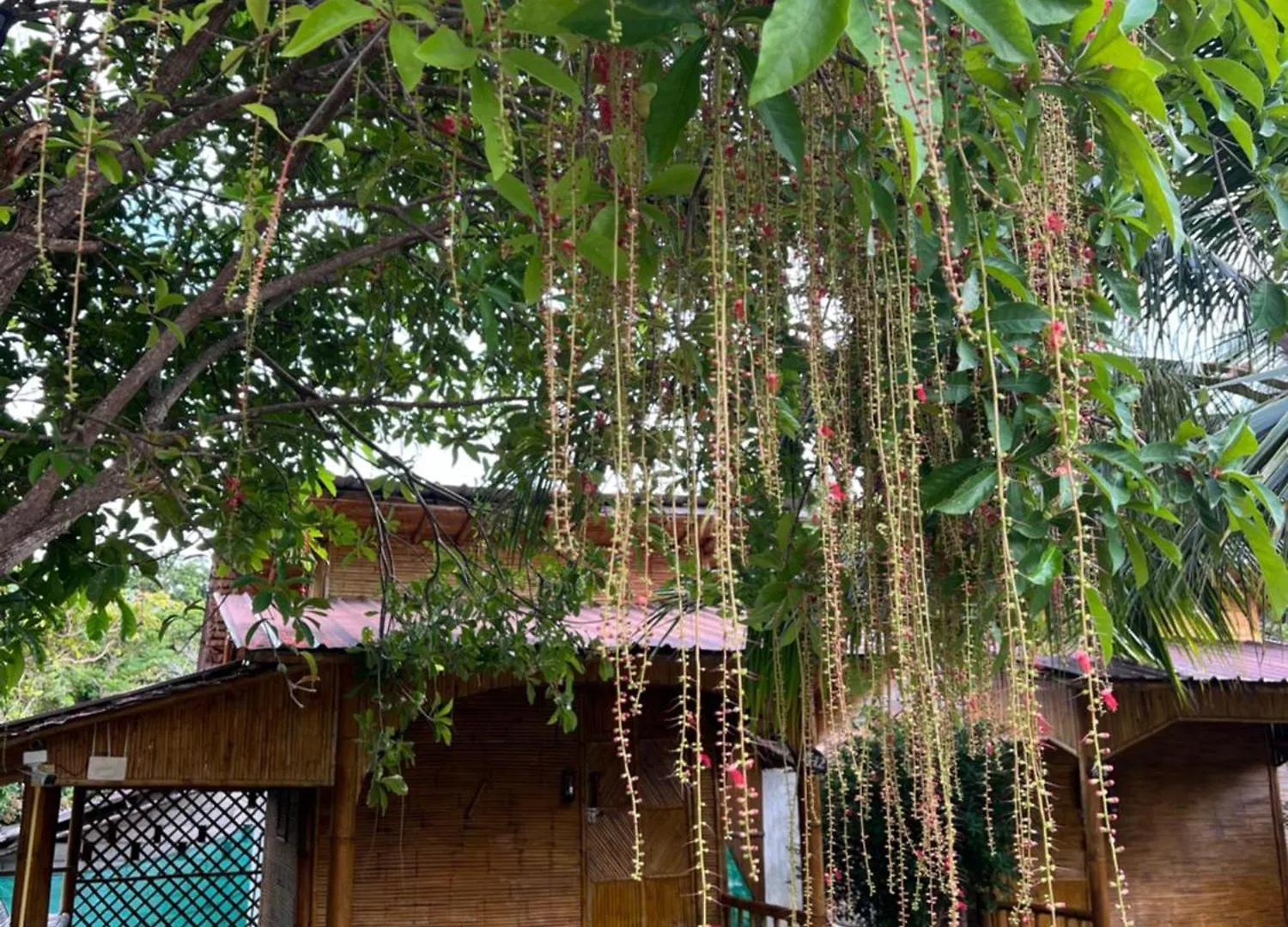 Chom Dao Resort Koh Lanta